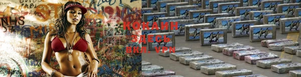 прущие крисы Богданович