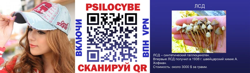 Галлюциногенные грибы MAGIC MUSHROOMS  Купить  Тара 
